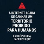 IT Fórum: Moltbook, a internet proibida para humanos